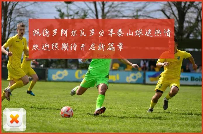 佩德罗阿尔瓦罗分享泰山球迷热情欢迎照期待开启新篇章